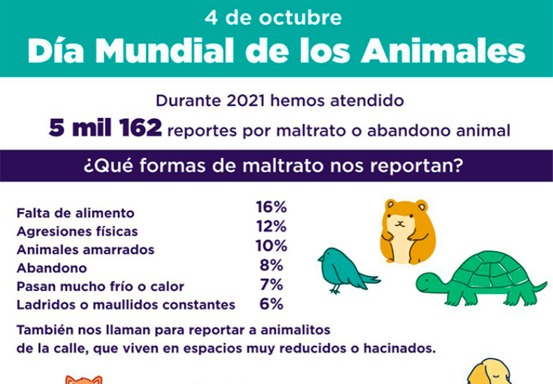NOS HAN REPORTADO MÁS DE MIL DENUNCIAS POR MALTRATO ANIMAL